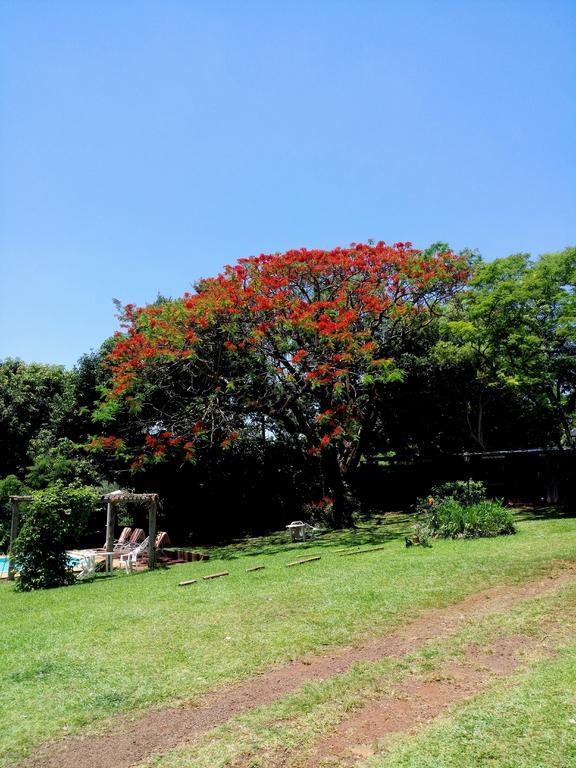 Hostel Y Posada Colibri Puerto Iguazu Exterior photo